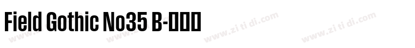 Field Gothic No35 B字体转换